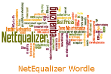 NetEqualizer Wordle